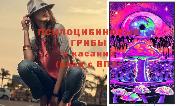 хмурый Нефтекумск