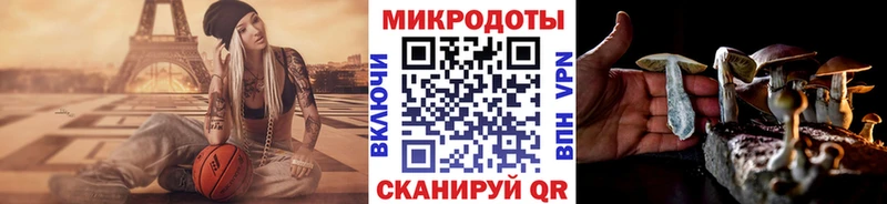 Псилоцибиновые грибы Psilocybine cubensis цены Арсеньев