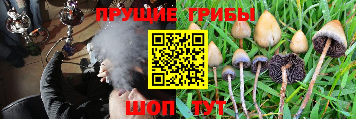 Галлюциногенные грибы Psilocybine cubensis Арсеньев